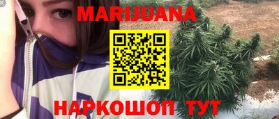 прущие грибы Сертолово