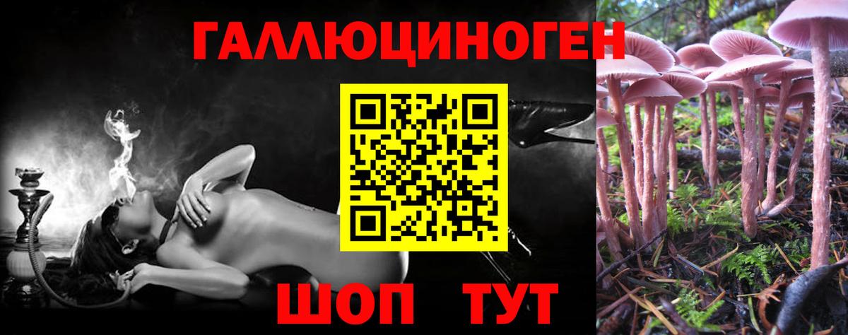 Крымск  Галлюциногенные грибы мухоморы  Вход с VPN  Псилоцибиновые грибы мицелий 